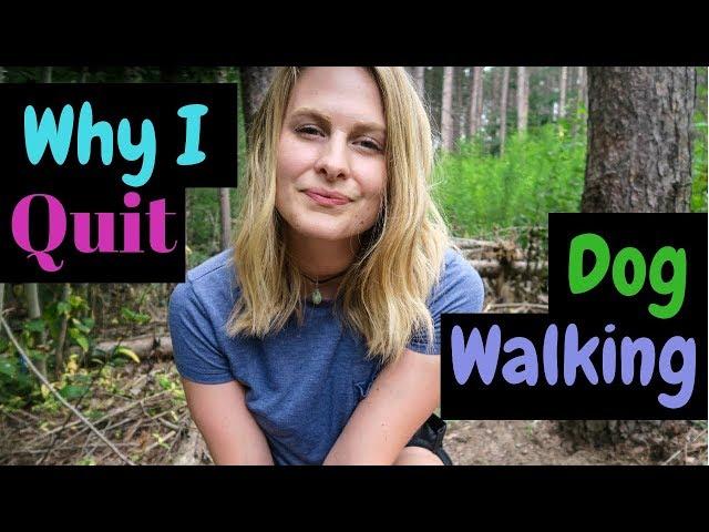I QUIT Dog Walking | Where I'm Going Now