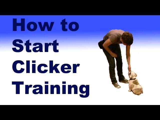 How to start clicker training your dog