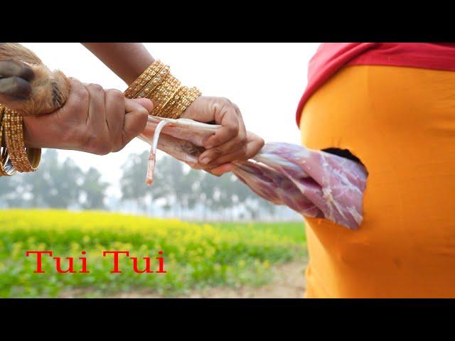 Tui Tui Unlimited  Comedy VideoTui tui Best Funny Video 2022Special New Video