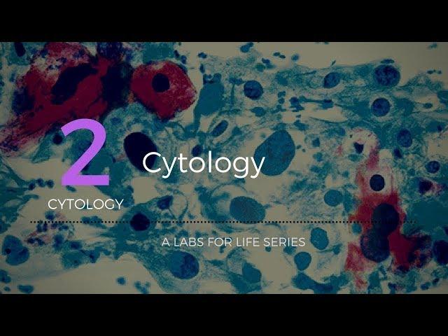 Cytology