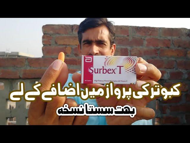 Extra Energy Booster For Pigeon kabootar ki perwaz Badane k le Nuskha (urdu/hindi)