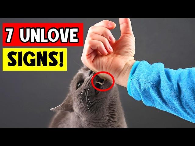 7 Shocking Signs Your Cat Doesn't Love You (And How to Fix Them!) | Must-Watch Tips! 