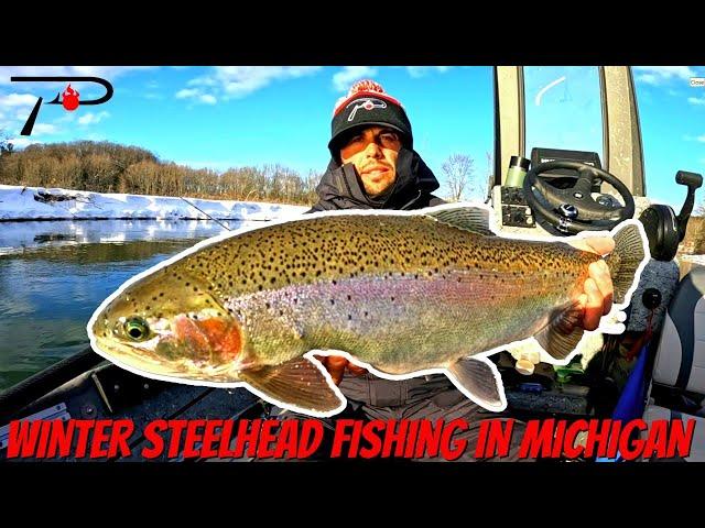 Winter Steelhead Fishing in Michigan