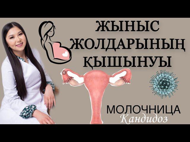 МОЛОЧНИЦА. ЖЫНЫС ЖОЛДАРЫНЫҢ ҚЫШЫНУЫ. КАНДИДОЗ