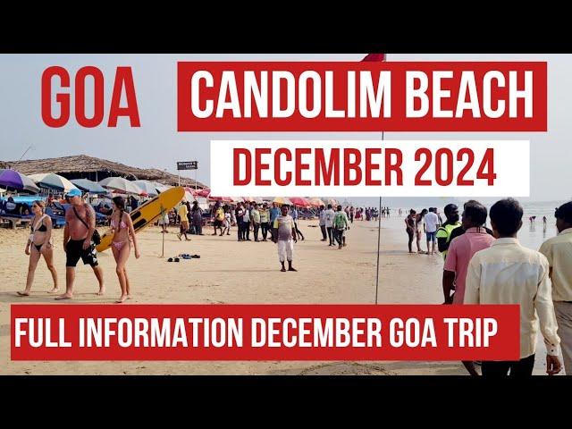 Goa Candolim Beach December 2024 | Goa Tourist Situation