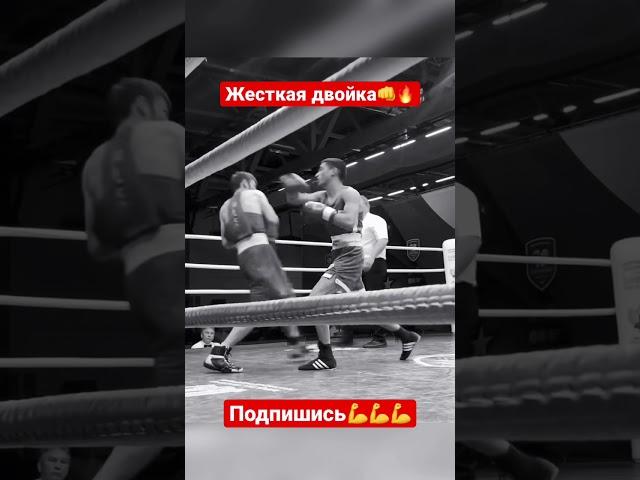 Жесткая двойка #спорт #boxing #бокс #gym #мма #бой #нокаут #россия #москва #кавказ #дагестан #khv