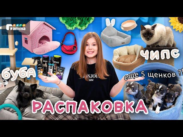 РАСПАКОВКА ПОКУПОК для ЩЕНКА и КОТА ‍⬛ | Gamma |