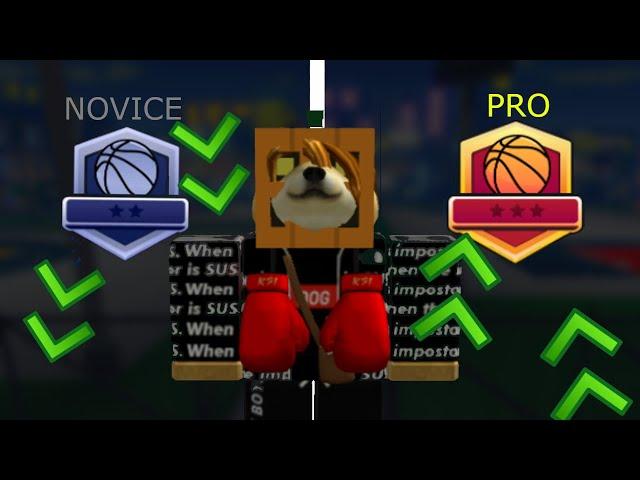 I tried to reach the pro rank... (Basketball Legends)