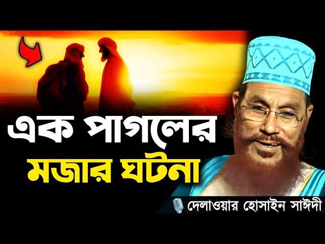 এক পাগলের মজার ঘটনা || Delwar Hossain Sayeedi New Waz Saidi Waz Bangla Waz