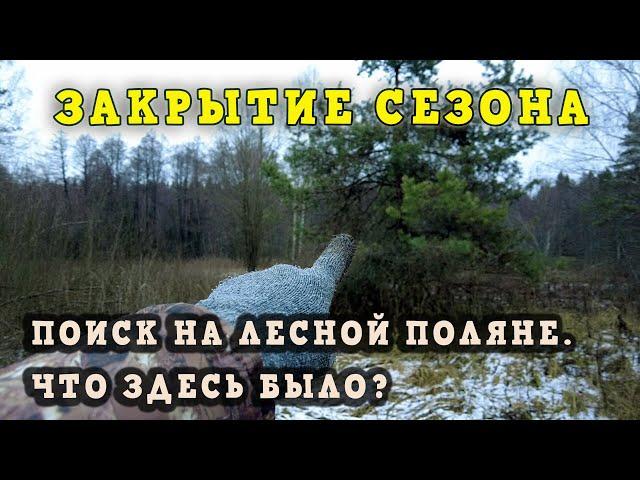 Закрытие сезона 2024. Поиск на лесной поляне. Что здесь было?