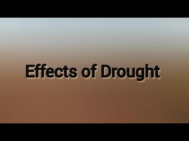 Droughts   Causes And Effects Of Droughts    Drought For Kids