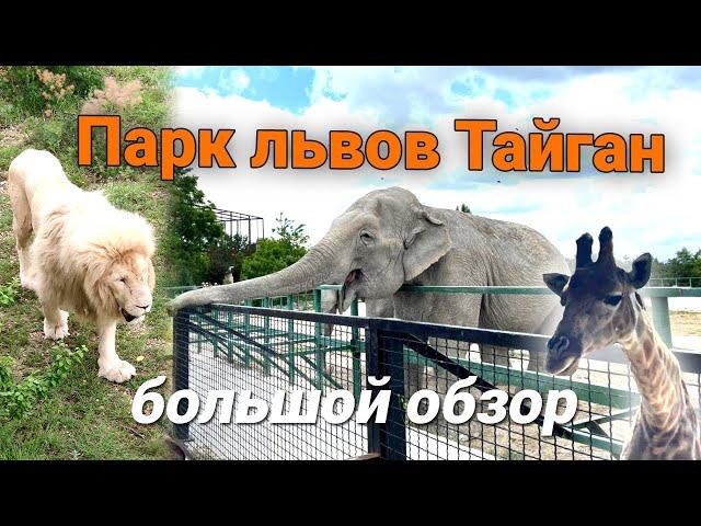 Парк львов Тайган в Крыму. Большой обзор. Лучший зоопарк. Крым. Белогорск