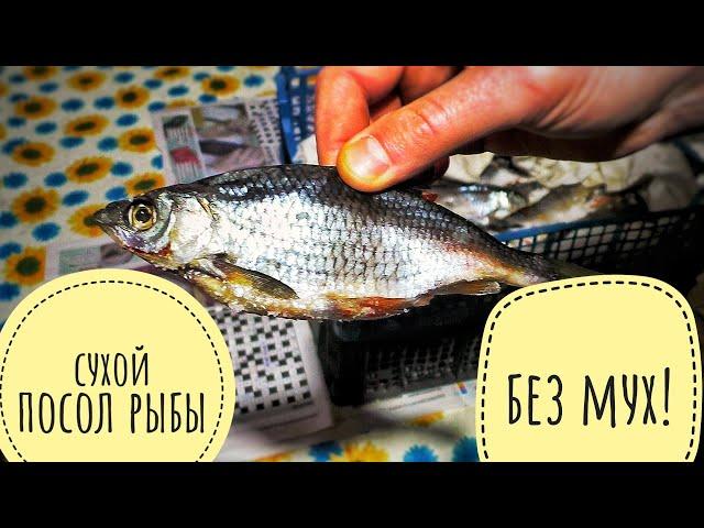 Сухой посол рыбы. Вкусная вяленая рыба без вывешивания.