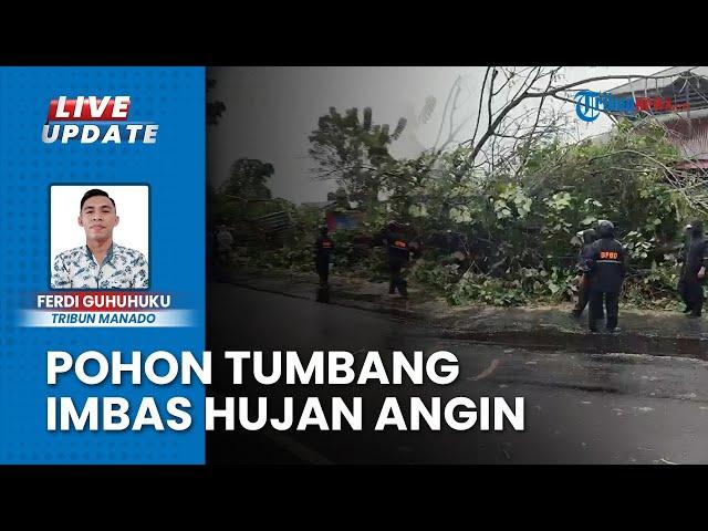 Imbas Cuaca Ekstrem Hujan Angin di Manado Sulawesi Utara, Pohon Tumbang sebabkan Jalan Lumpuh