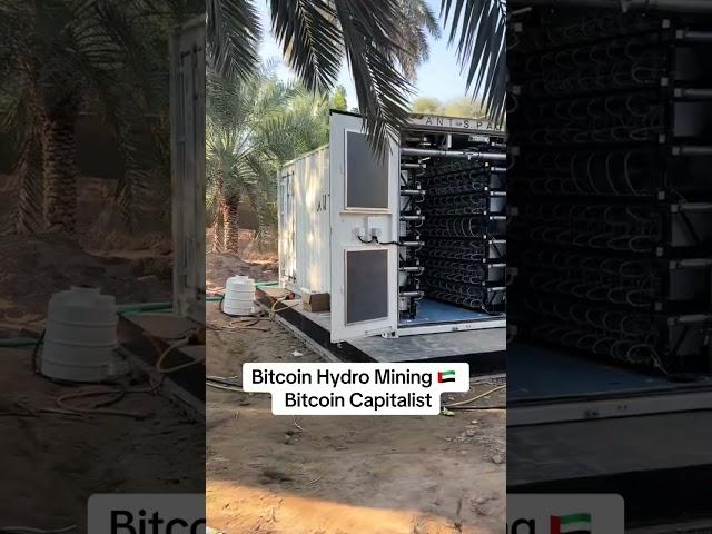 Bitcoin hydro mining Dubai, UAE #bitcoin #antspace #bitmain #antminers #bitcoinmining #bitcoinminers