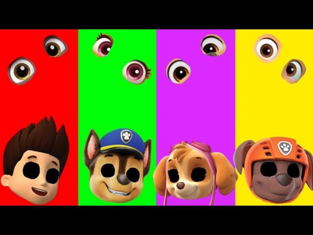 Wrong eyes challenge DAME TU COSITA Paw Patrol Funny Puzzle Wrong Heads