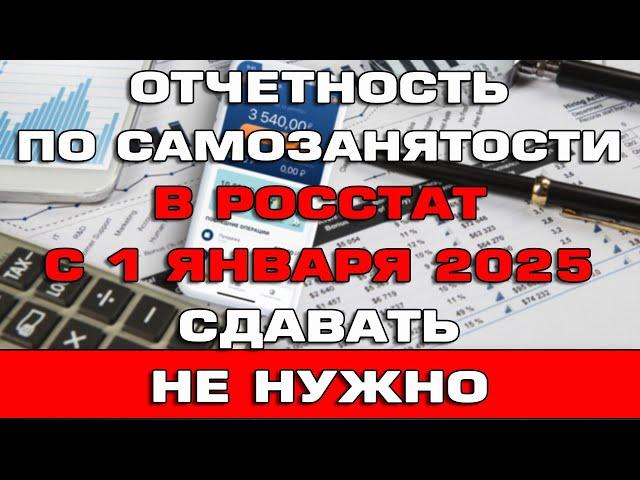 Самозанятым отчеты в Росстат с 1 января 2025 сдавать не нужно Новости