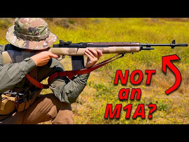 M1A / M14 - Before You Buy