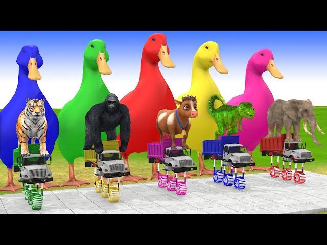 5 Giant Duck Cartoon, Cow, Mammoth, Elephant, Lion, Paint Wild Animals Crossing Fountain Animation