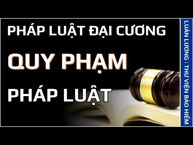 Bài giảng Pháp luật đại cương | Quy phạm pháp luật là gì?