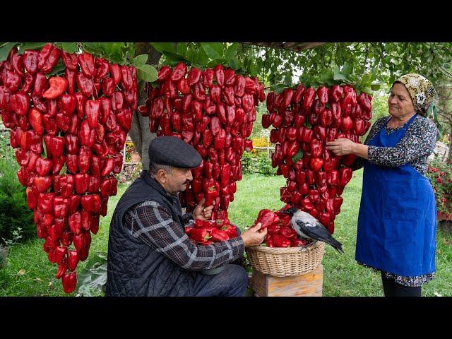 Farm to Table: Crafting Homemade Bell Pepper Paste from Garden Fresh Peppers