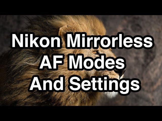 Nikon Mirrorless AF Modes And Settings