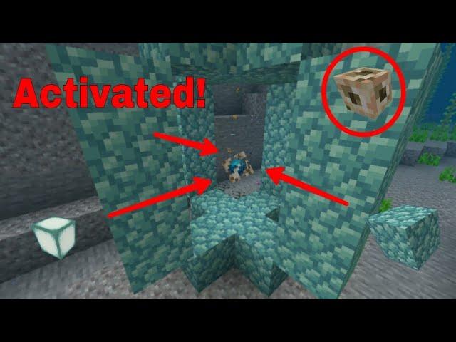 How to Activate Conduit in Minecraft|1.16||Bedrock||