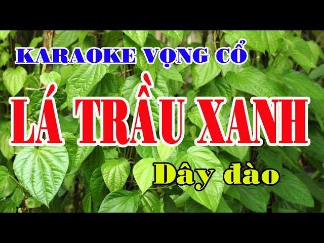 Karaoke vọng cổ LÁ TRẦU XANH - DÂY ĐÀO [Beat hay]