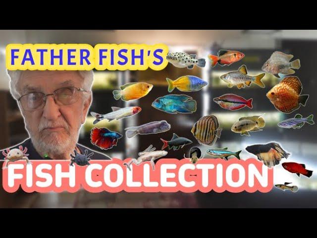 Father Fish's Fishy Friends: Gouramis, Puffers, Gobies, Discus, Tetras, Uarus, & More