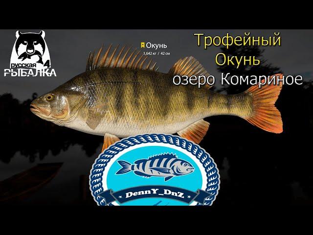 Трофейный Окунь на озере Комариное - Русская Рыбалка 4