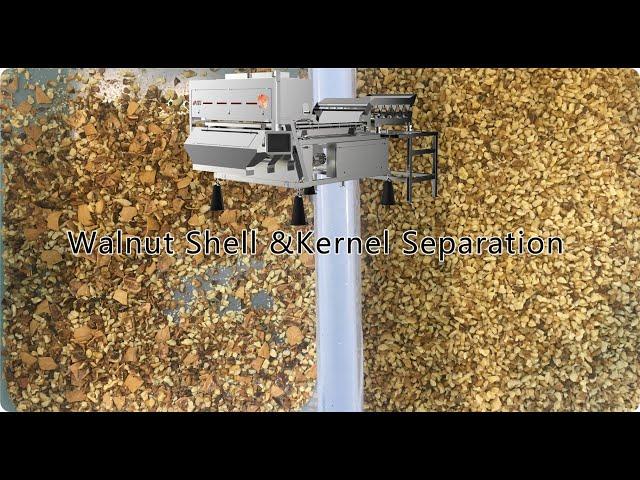 Walnuts Shell & Kernel Separation Machine (Belt Type Infrared Sorter)