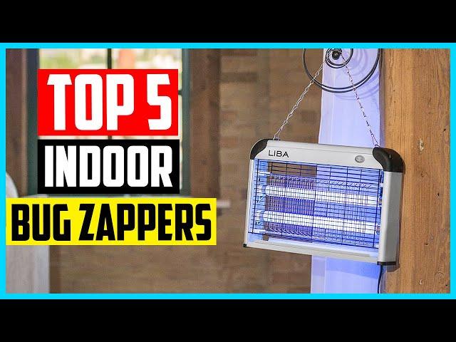 Top 5 Best Indoor Bug Zappers in 2024 Reviews