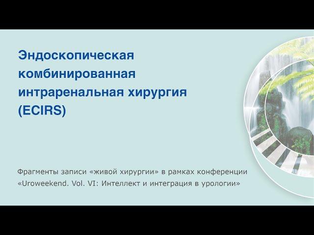 Эндоскопическая комбинированная интраренальная хирургия (ECIRS), А.Г. Мартов и А.С. Андронов