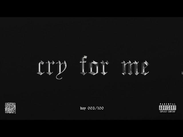 "CRY FOR ME" -  Ashnikko x Grimes x Maggie Lindemann Type Beat (Day 003/100)