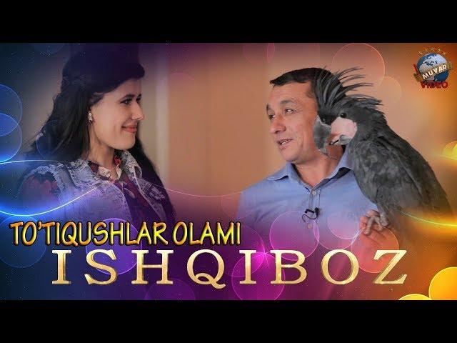 Ishqiboz - To`tiqushlar olami