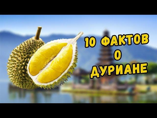 10 Фактов о Дуриане, о которых вы не знали!