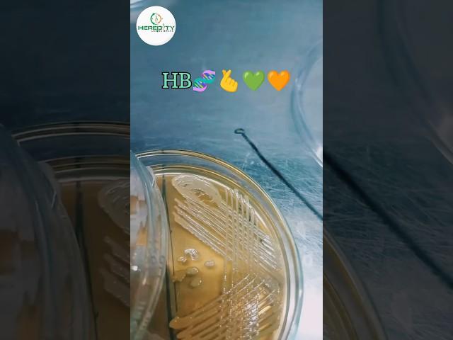 HB🫰 #passion #lab #research #dream #science #experiment #2024 #shorts