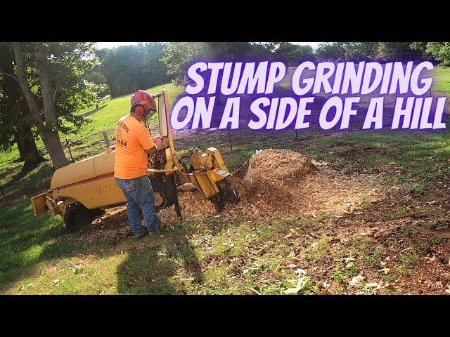 How I Stump Grind a Large Sweetgum Stump on a Hill @ChrissStumpGrinding