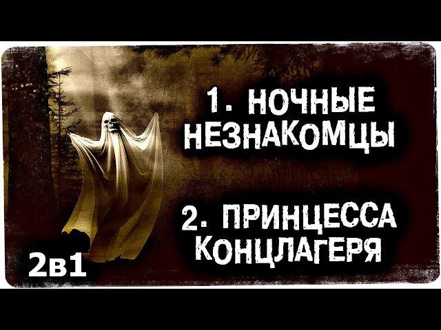 Истории на ночь (2в1): 1.Ночные незнакомцы, 2.Принцесса концлагеря