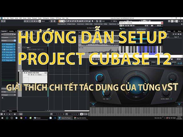 CUBASE 12 - HƯỚNG DẪN SETUP PROJECT CUBASE GIẢI THÍCH CHI TIẾT TỪNG VST DỄ HIỂU