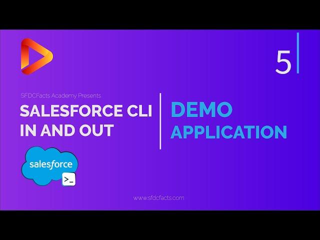 Course Project Overview | SFDX and Salesforce CLI Course