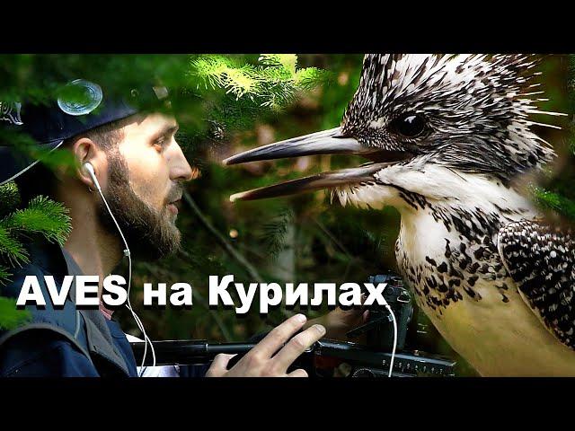 Aves staff in the Kuril Islands | Film Studio Aves