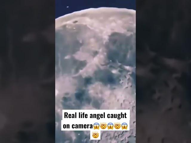 Real Angels caught on camera￼