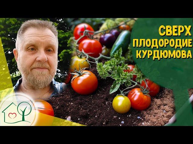 Сверхплодородие и природное плодородие - Николай Курдюмов