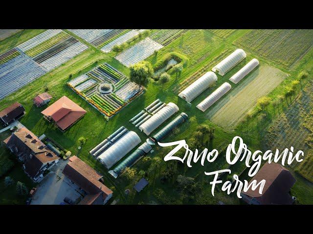 BREATHTAKING Farm Pioneering Organics in Croatia!