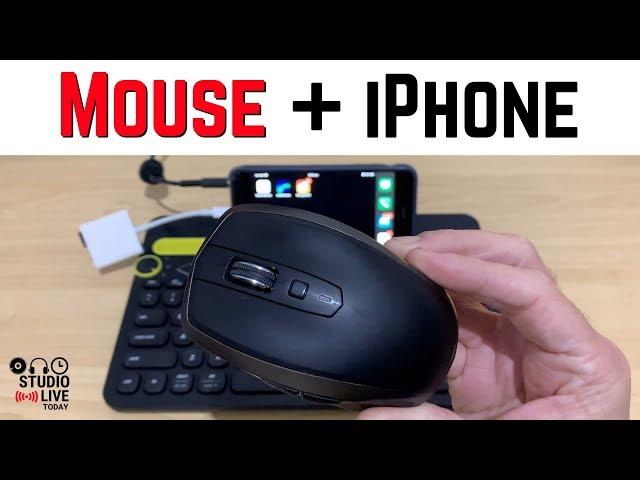 How to use a MOUSE with an iPhone (iOS 13)