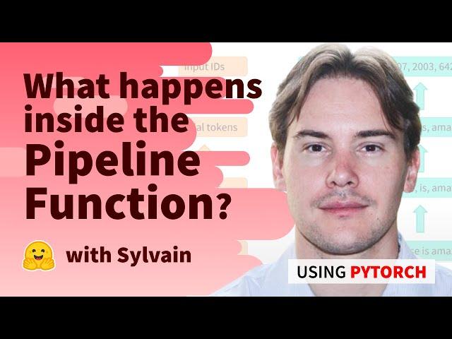 What happens inside the pipeline function? (PyTorch)