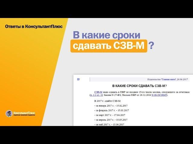 В какие сроки сдавать СЗВ-М?