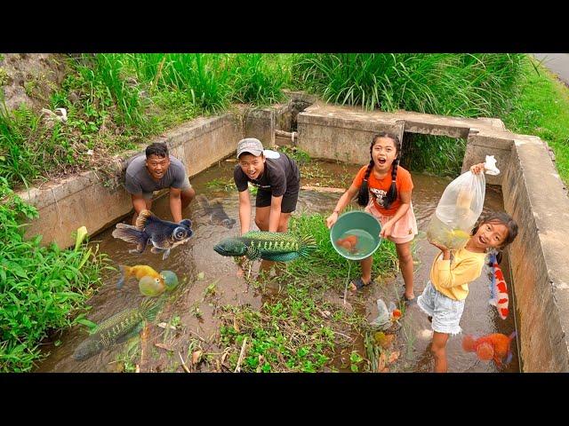 MENANGKAP BERBAGAI JENIS IKAN DI KALI PINGGIR JALAN