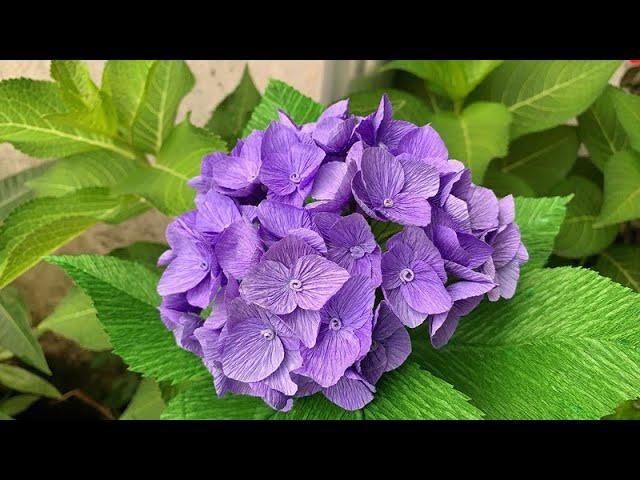 ABC TV | How To Make Hydrangea Flower With Crepe Paper #1 - Craft Tutorial